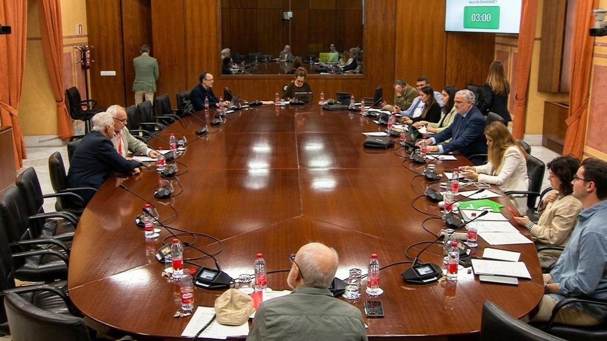 Las Mareas Blancas llegan al Parlamento a debatir sobre la sanidad pública andaluza: "No estamos solas en esta pelea"