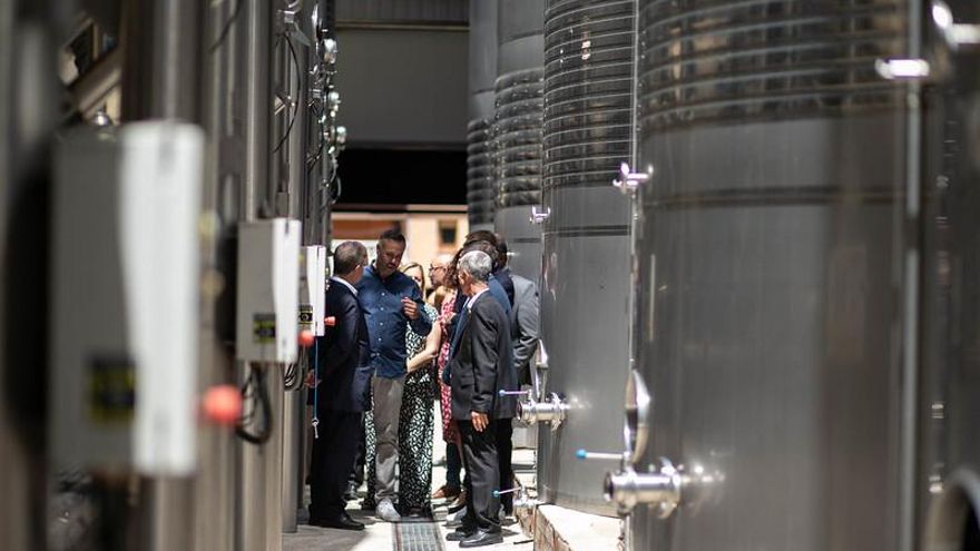 Castilla-La Mancha aprueba por tercer año consecutivo el cien por cien de las ayudas para inversiones vitivinícolas