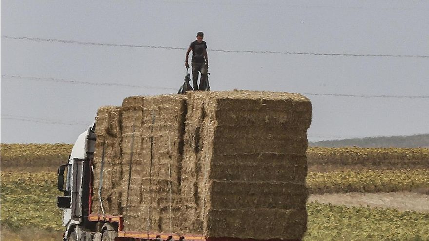 Castilla-La Mancha abona el anticipo de la PAC que en esta campaña asciende a 278 millones para 73.000 expedientes