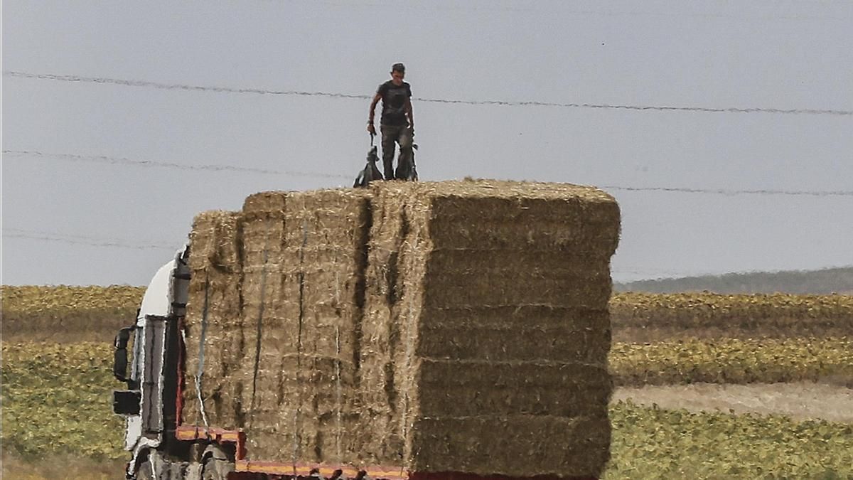 Castilla-La Mancha abona el anticipo de la PAC que en esta campaña asciende a 278 millones para 73.000 expedientes