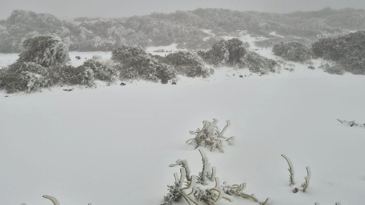 El invierno se despide de La Palma con un grueso manto de nieve y 5 grados bajo cero
