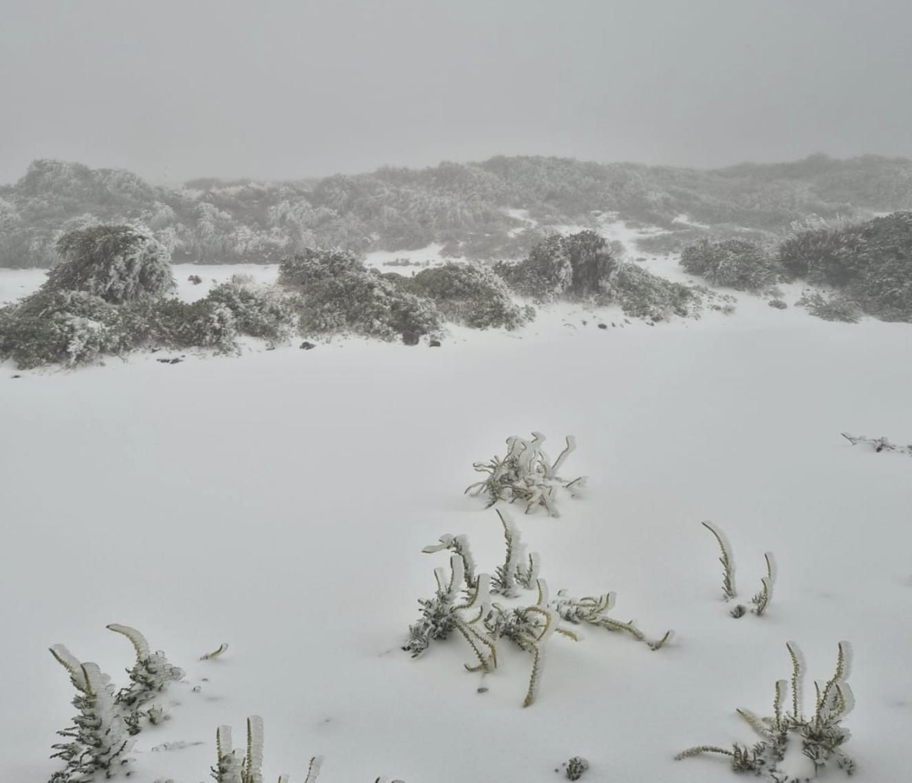 Un manto de nieve cubre este jueves en el entorno del Observatorio del Roque de Los Muchachos, en las  cumbres de la Villa de Garafía.