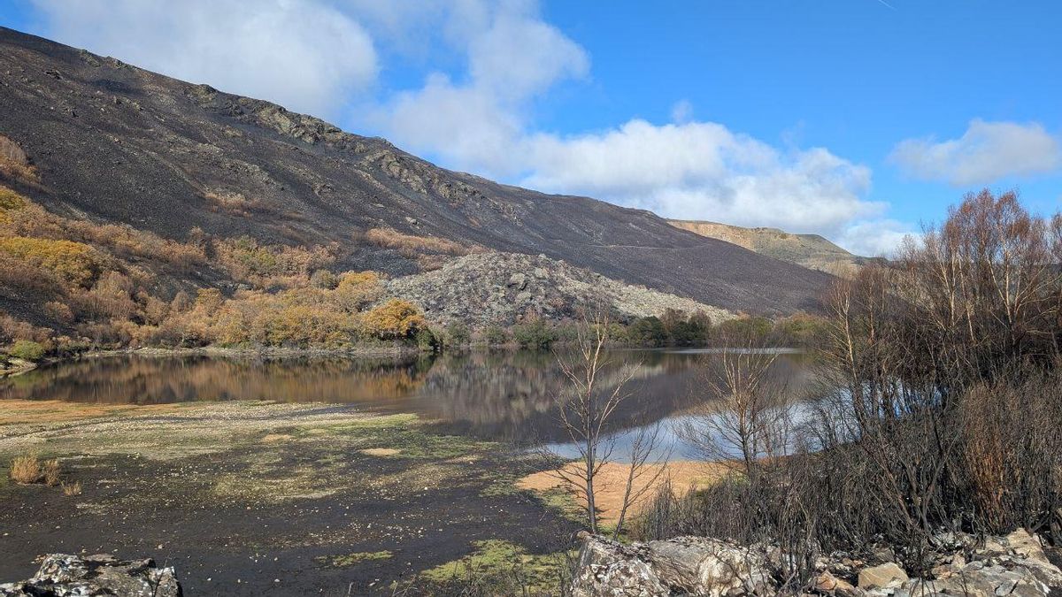 El Lago de La Baña tres meses después de ser arrasado por el fuego