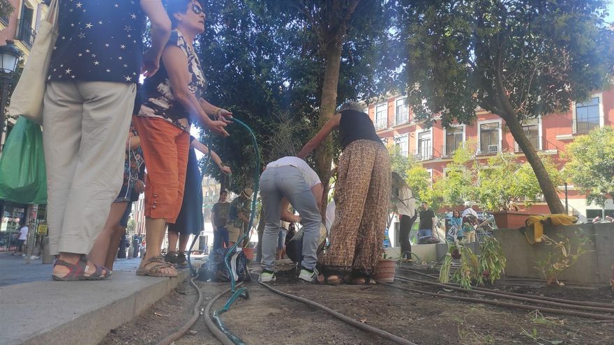 Reconstruyendo el huerto vecinal