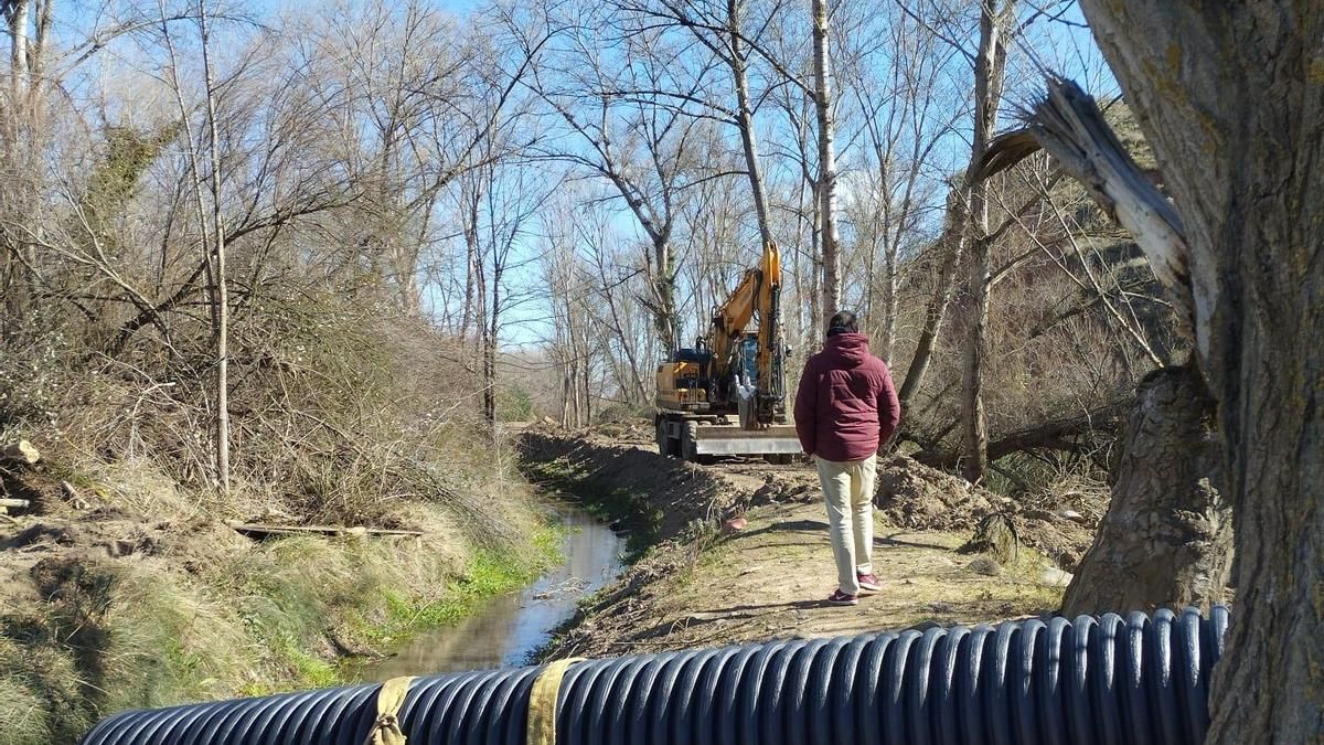 Ecologistas denuncian ante la Fiscalía una tala "masiva" de árboles autóctonos en un espacio protegido de La Rioja