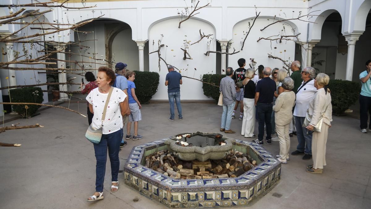 Flora 2025 - 'Arbor' (Museo Arqueológico)