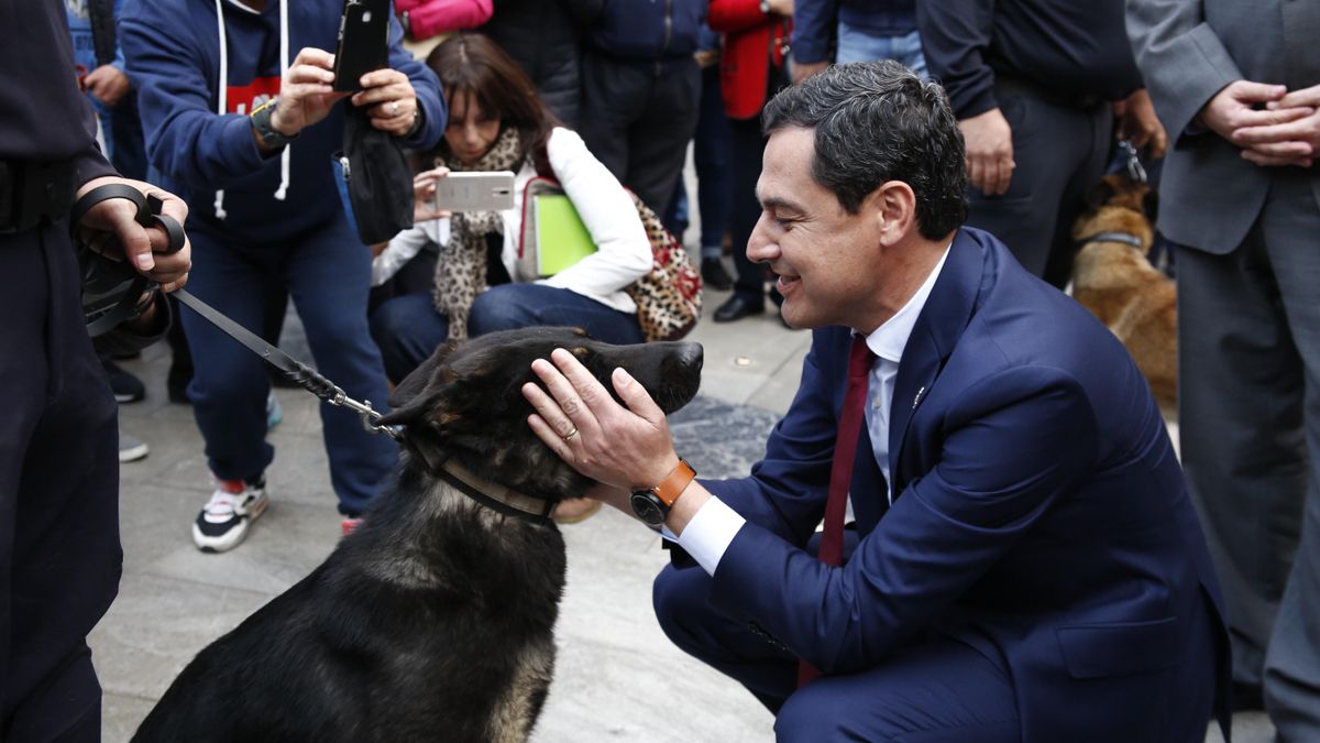 Moreno lanza su séptima rebaja fiscal en Andalucía: ahorro de 100 euros en el IRPF para quien adopte un perro