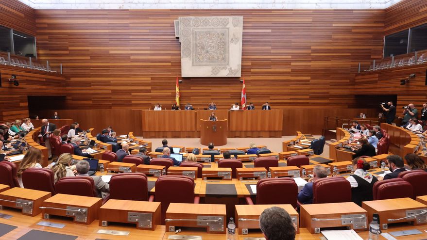 Las Cortes de Castilla y León piden por unanimidad que la Junta elabore un plan de salud mental juvenil