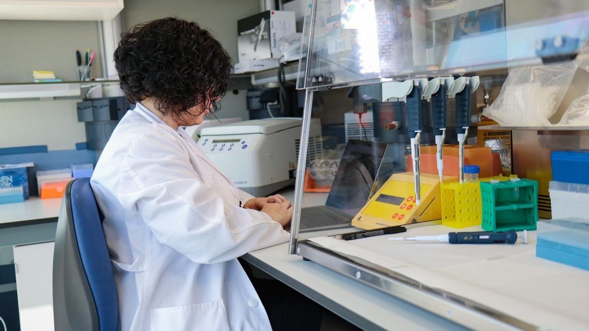 12 becas posdoctorales para formar y retener talento en La Rioja: duración de 3 años y 50.000 euros anuales