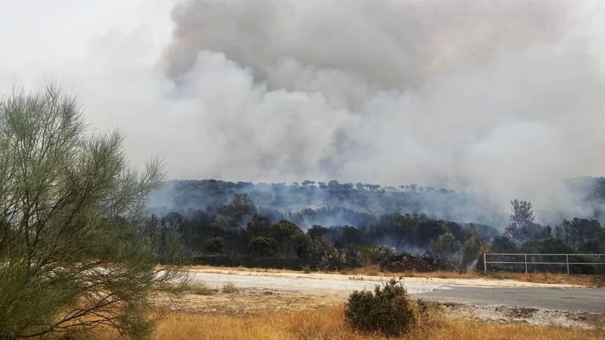 Un incendio en Lozoyuela fuerza el envío de un Es-Alert pidiendo confinar varias localidades de la sierra de Madrid