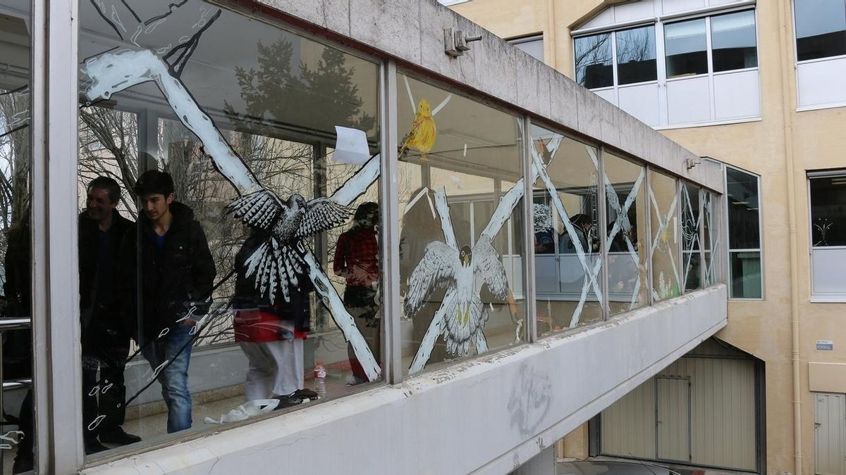 Trece alumnos de la Escuela de Arte pintan los cristales de una pasarela de la UC para evitar la colisión de aves