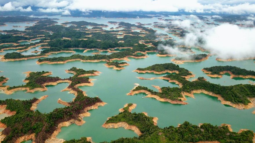 América Latina llega a la COP15 con más desafíos que logros