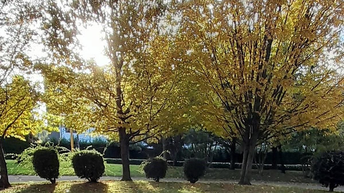 El silencio al que tanto tememos