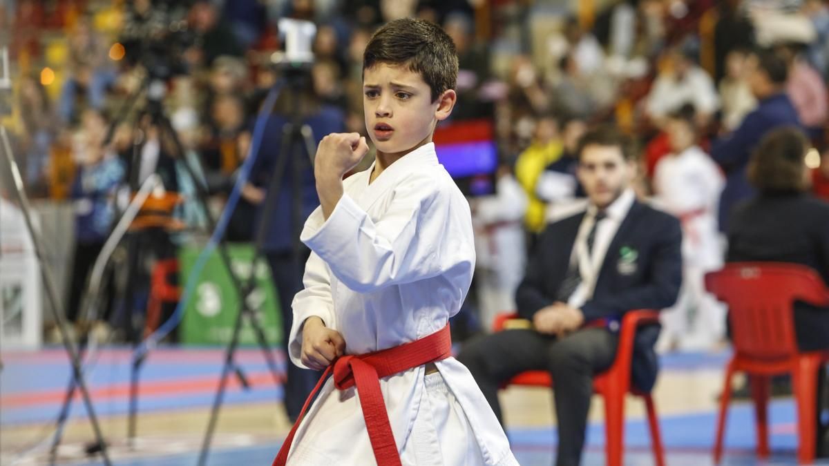Campeonato de Andalucía infantil de kárate