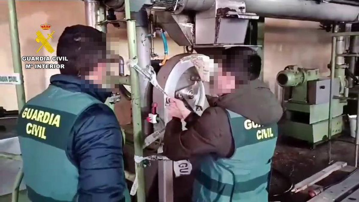 Desprecinto de la tolva en Arjona adonde habìa llegado ilegalmente la aceituna inmovilizada