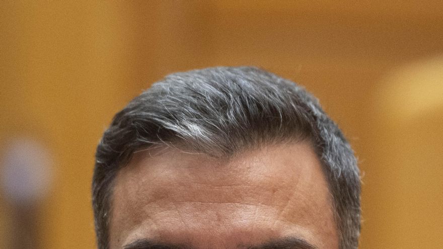 El presidente del Gobierno, Pedro Sánchez.