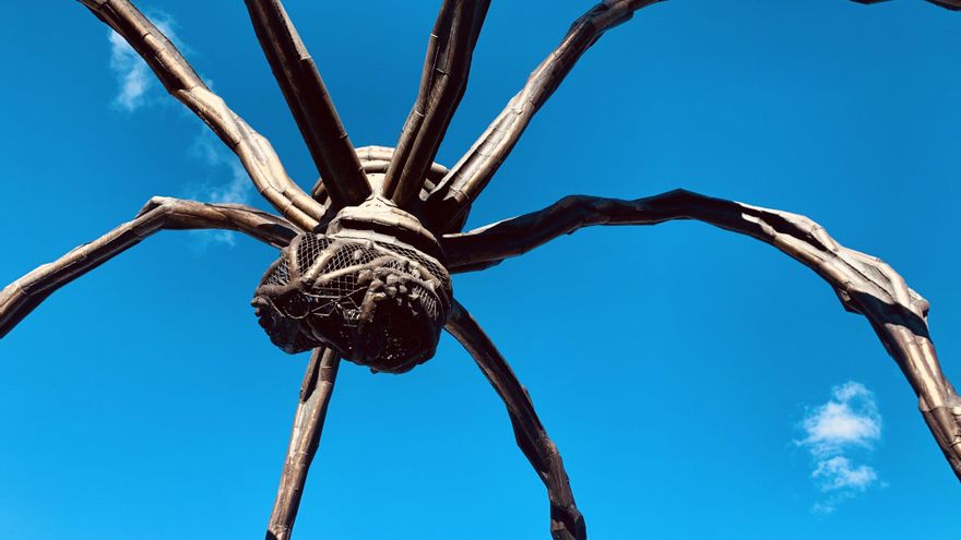 Euskadi cierra un invierno con calor de récord y la subida del promedio de máximas supera los tres grados en Álava