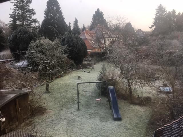 El jardín desde la ventana