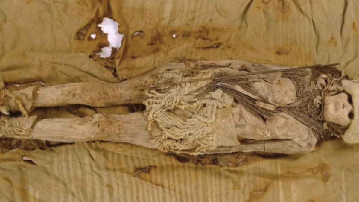 El queso más antiguo del mundo apareció sobre momias de 3.600 años y refuerza la idea de un alimento para el más allá