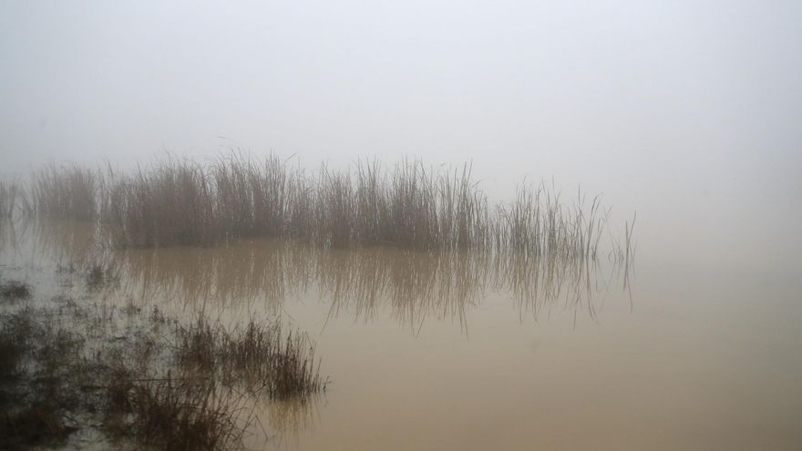 Los jueces acusan a los mandos militares de una "actitud pasiva" ante el ejercicio en el que se ahogaron dos soldados en Cerro Muriano