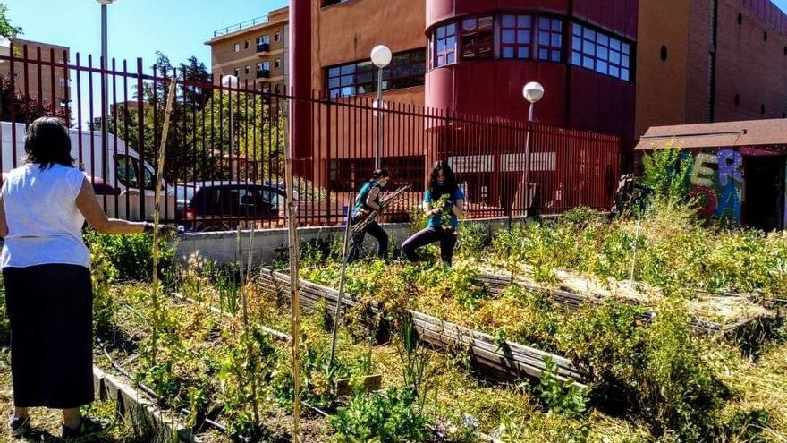 El huerto Zuloaga se queda: lo que nos recuerda la victoria de las hortelanas de Tetuán