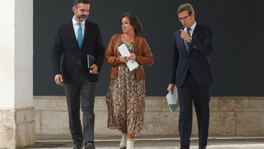 El Gobierno andaluz pone la mano en el fuego por la balsa de residuos tóxicos de la minera en Huelva que investiga la UE