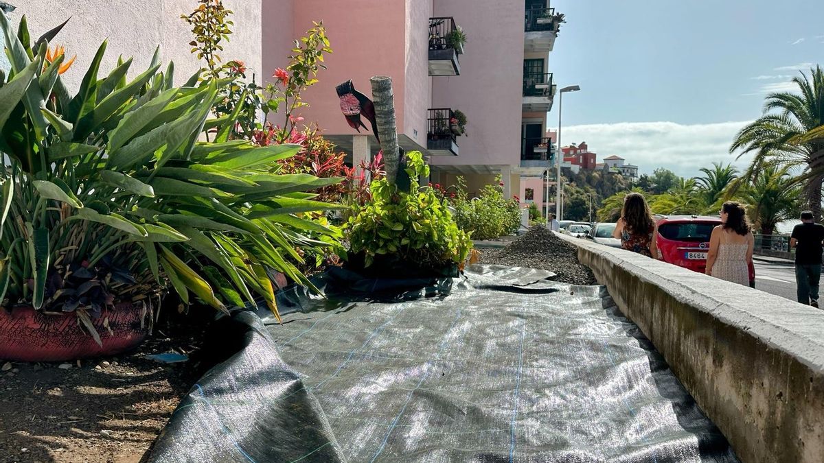 Santa Cruz de La Palma destina 40.000 euros a la mejora y embellecimiento de los jardines de la urbanización Benahoare.