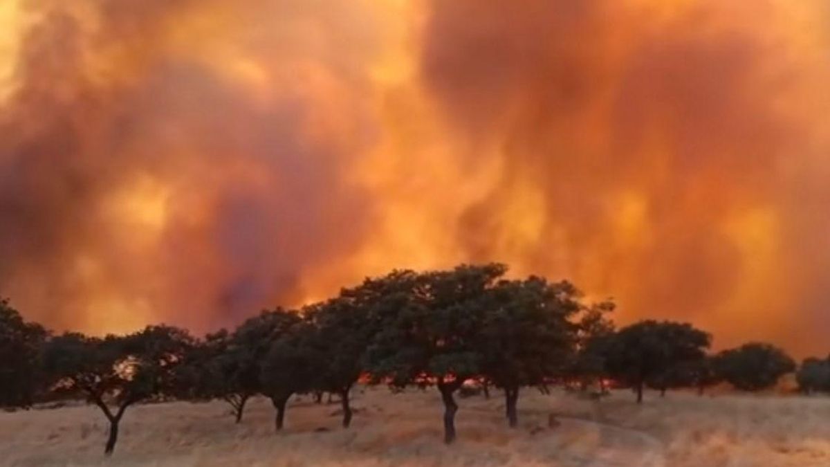 Imagen de ayer por la tarde en la localidad