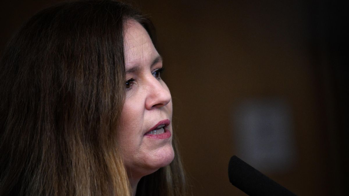 La consejera de Familia, Juventud y Asunstos Sociales, Ana Dávila