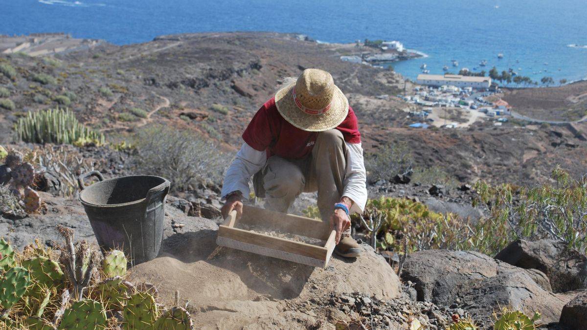 Un arqueólogo de Arqueocanaria en plena excavación. El director de esa empresa fue quien avisó a las autoridades de la agresión al yacimiento. Arqueocanaria