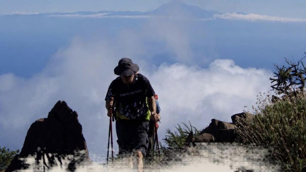Las Jornadas de Turismo Rural y Activo  del Cabildo analizarán el desarrollo del sector en La Palma