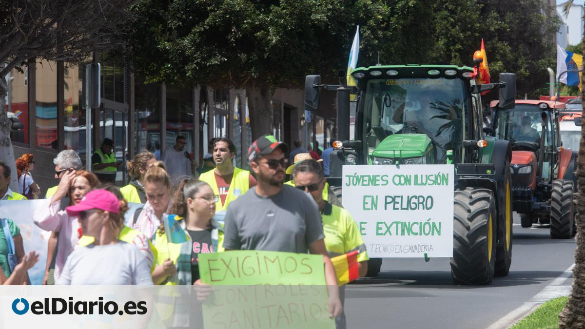 El campo de Fuerteventura se moviliza contra la precariedad y la línea ...