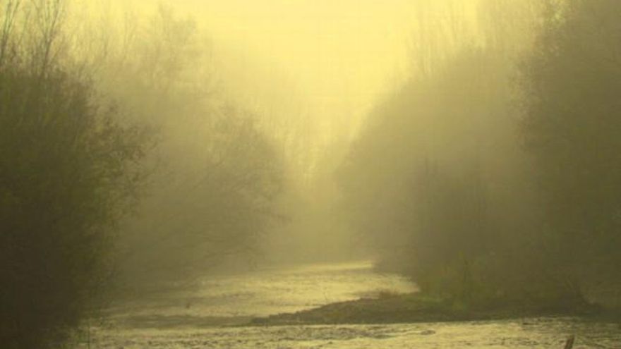 Naturaleza viva en el municipio de Cimanes del Tejar