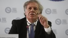 Almagro califica de "encomiable" la reducción de cultivos de coca en Colombia