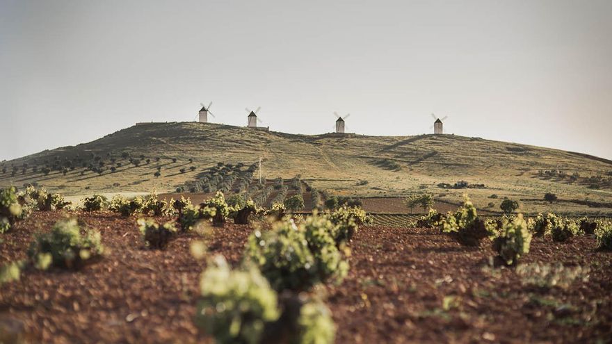 Cinco experiencias para descubrir la Ruta del Vino de La Mancha