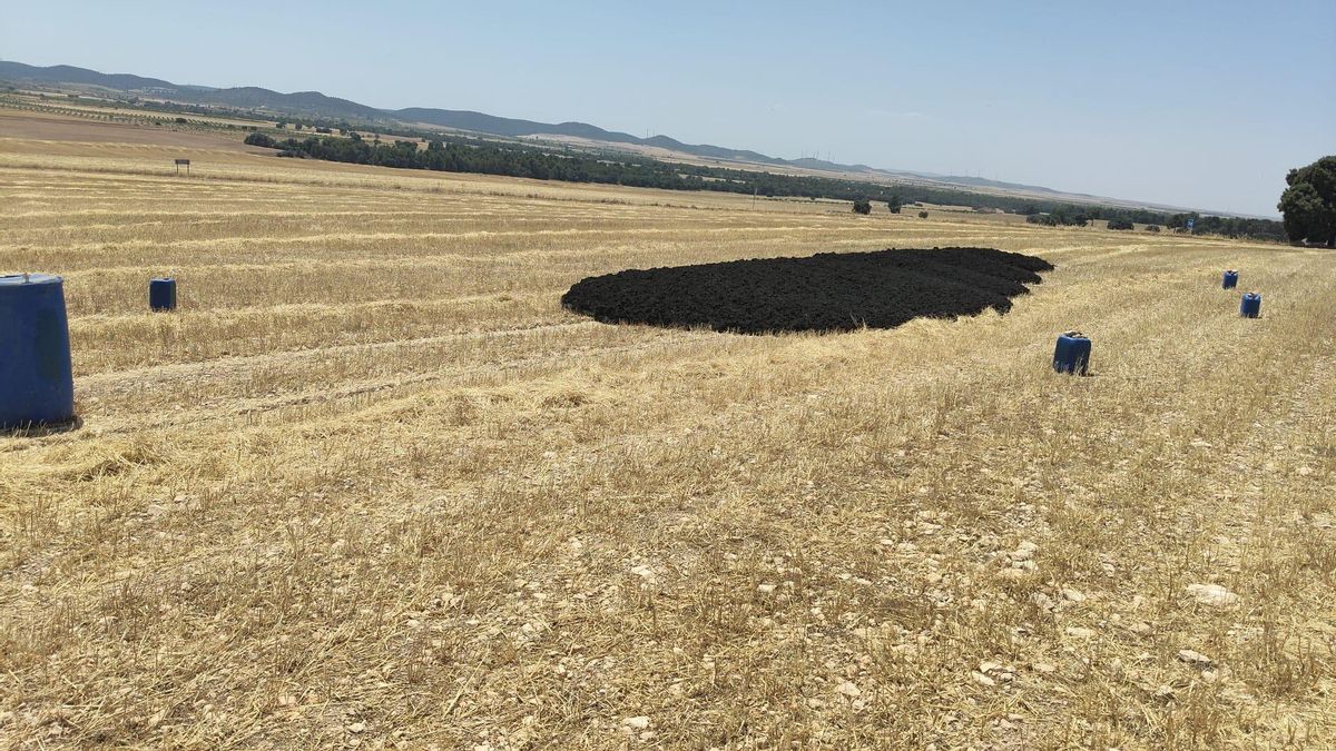 Montón de lodo tratado con larvicida e insecticida en el terreno de Miguel. Utiliza el cebo en los envases de color azul para evitar la proliferación de moscas