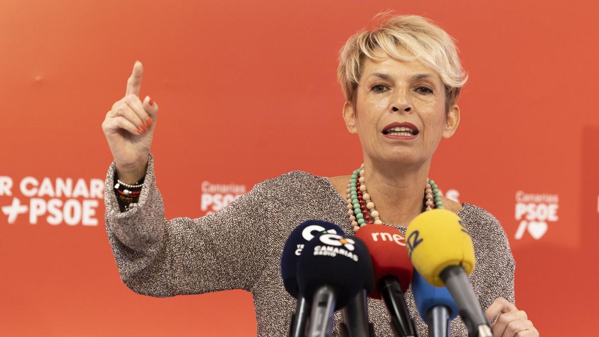 El PSOE pide al Gobierno de Canarias "transparencia total" sobre los traslados de menores no acompañados