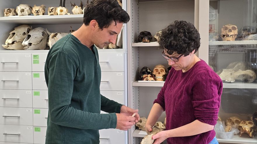 Ana B. Marín Y Alexandre Lefebvre Observan Restos De Animales Que Analizan En El Laboratorio Del Grupo Evoadapta En La UC.