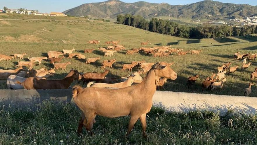 La formación en el sector agrario, más necesaria que nunca