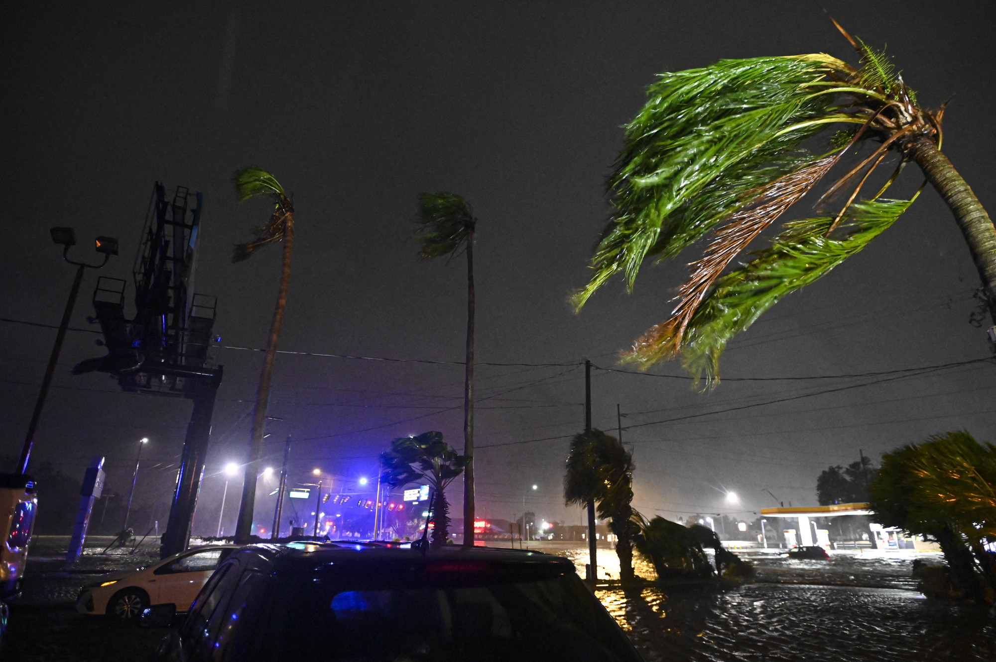 Las palmeras se ven azotadas por el viento al paso de Milton en Brandon, Florida