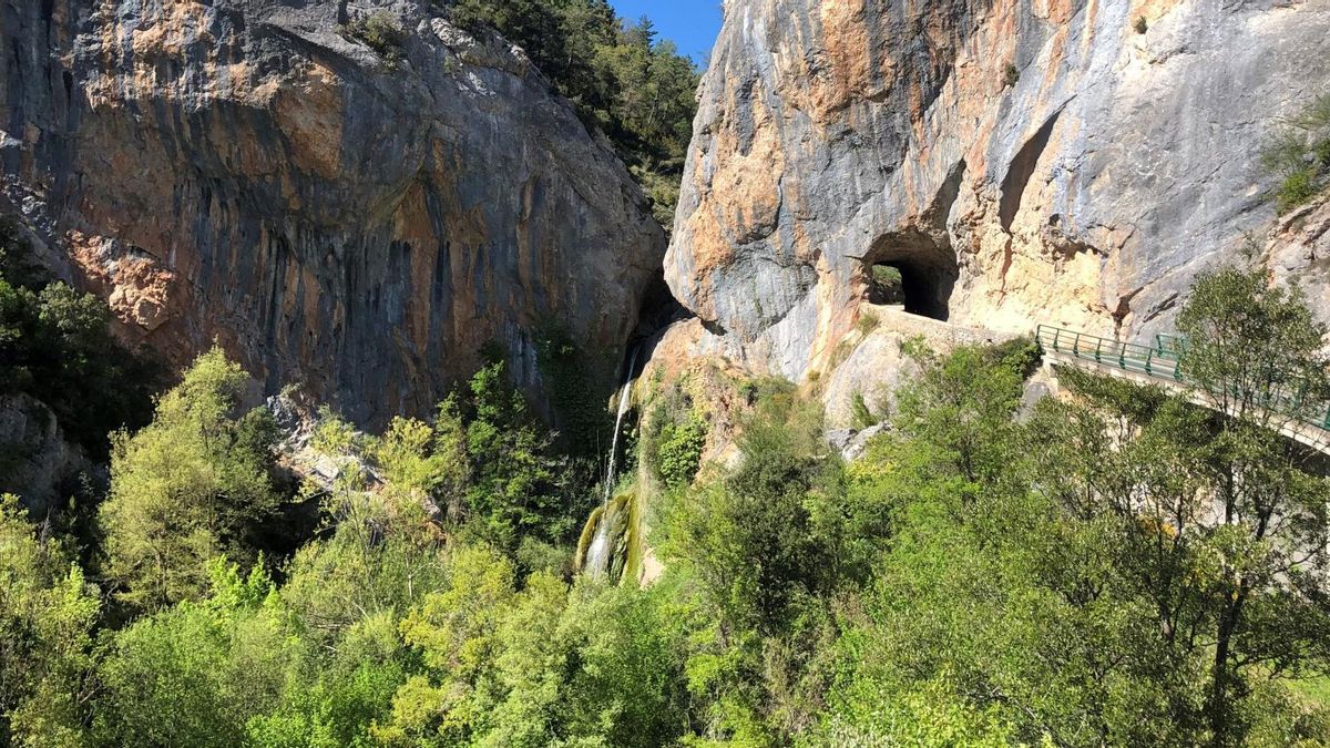 La ruta de senderismo de Burgos que avanza por bosques y praderas siguiendo el curso de un río