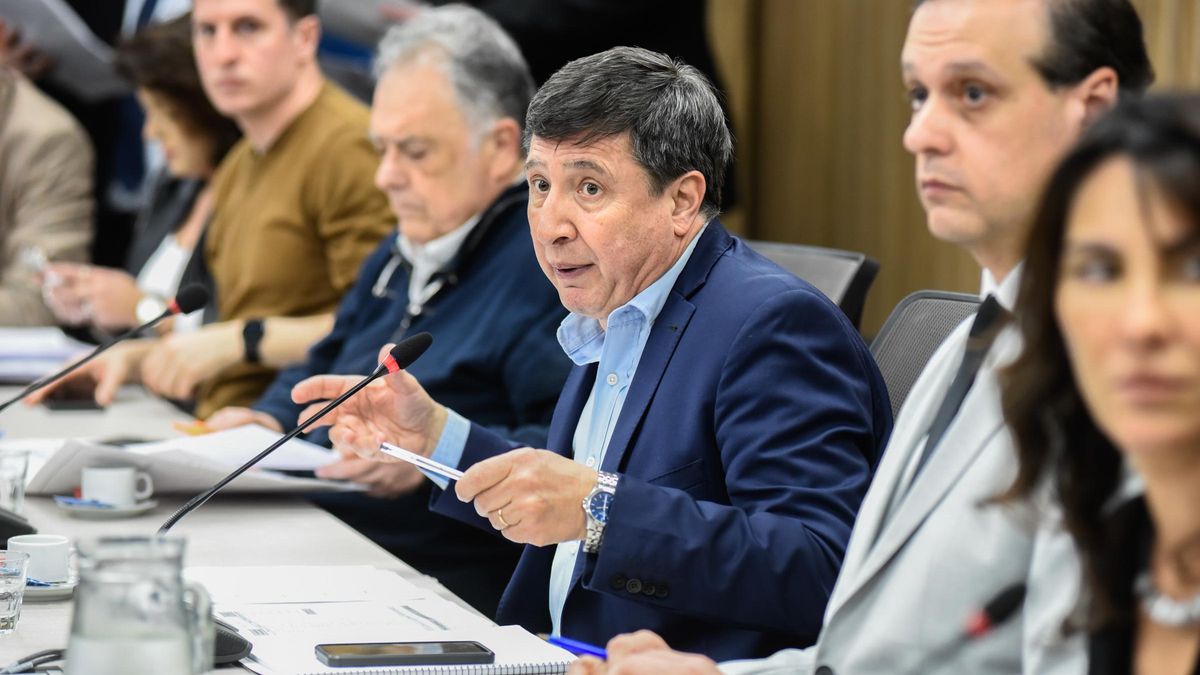 Daniel Arroyo, presidente de la comisión de Discapacidad