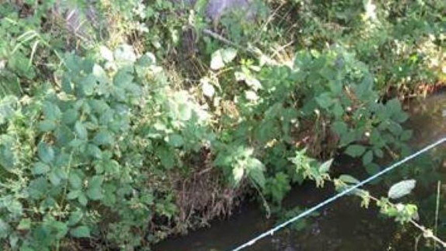Tubería de vertido desde Galve de Sorbe, en Guadalajara