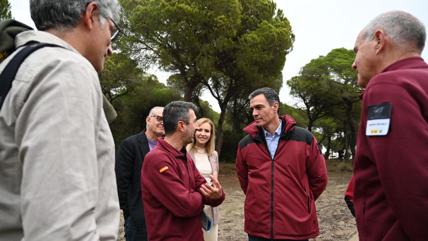 El plan estatal para Doñana es rotundo: no habrá nuevos permisos para regar