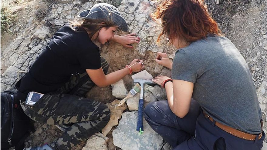 Caminar entre huellas que dejaron los reptiles del Triásico en Guadalajara hace 240 millones de años