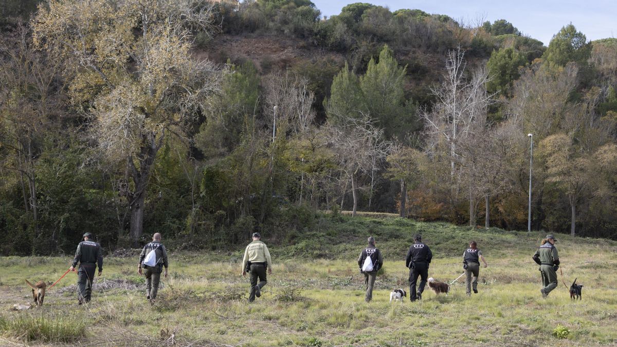 El primer caso de peste porcina africana en la ciudad de Barcelona obliga a cerrar el parque natural de Collserola