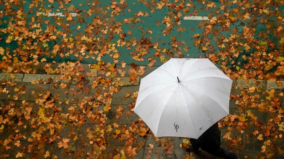 (Imagen de archivo de lluvias en Sevilla en diciembre de 2021 / Eduardo Briones, Europa Press).