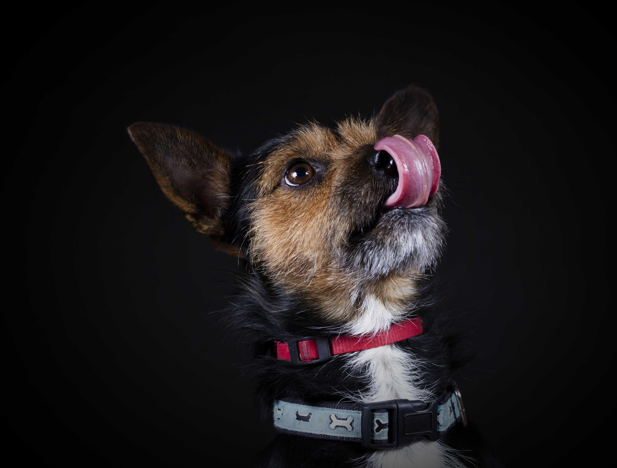 'Una mirada, una vida'.