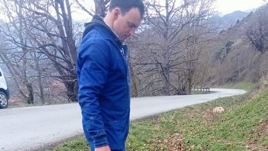 Archivo - Un ganadero junto a una oveja atacada por un lobo.- Archivo