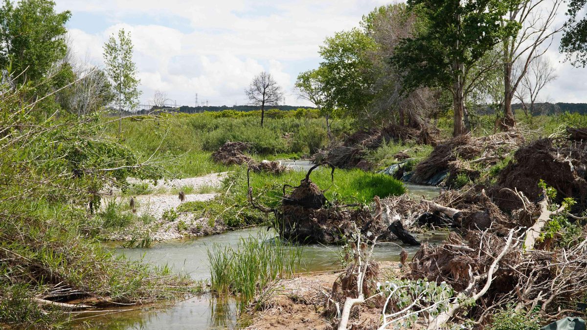 El Turia a su paso por Riba-roja.